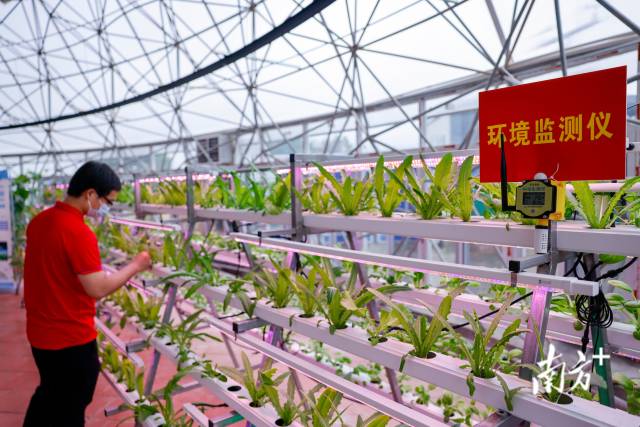 “智慧小院”内部场景。  